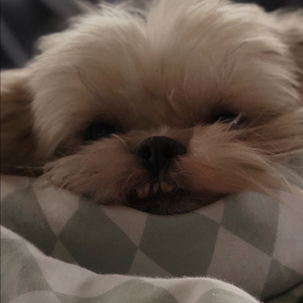 Meet your Posher, Hyatt